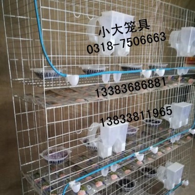 出售鸡笼鸭笼鸽子笼兔子笼鹌鹑笼鹧鸪笼运输笼宠物笼猫笼狗笼鸟笼