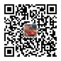 微信公共号