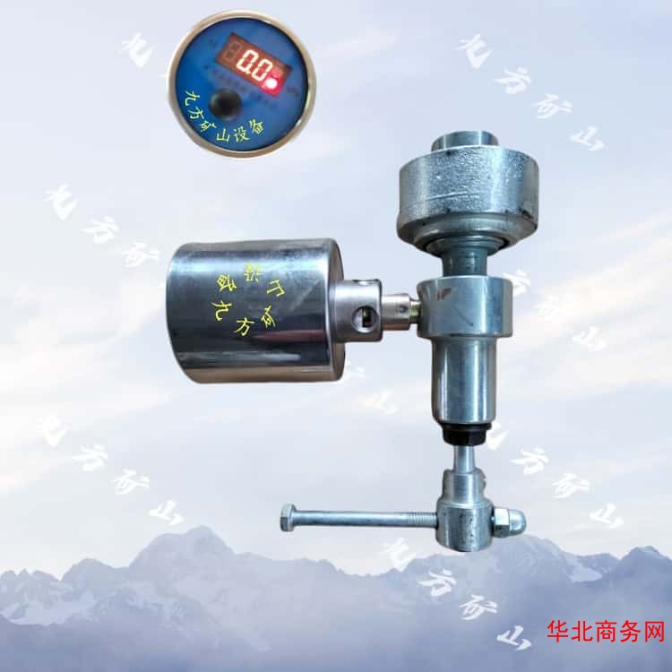 TCP-80单体支柱数显压力表图2