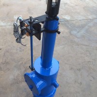 DYTZ700/250/50电液推杆厂家